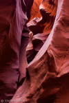 Antelope Canyon, Lower, Arizona, USA 37